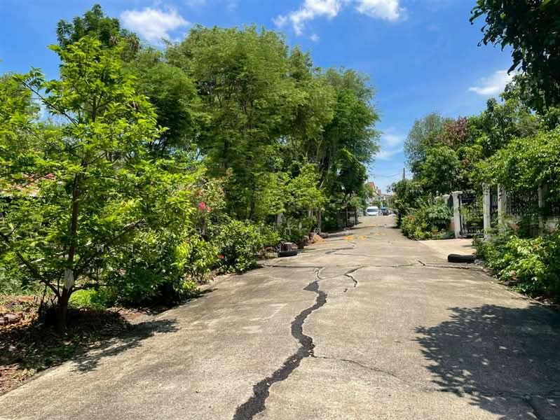 ที่ดินเปล่า 226 ตร.ว. หมู่บ้านสินธนา นวมินทร์50, Bangkok, ถนนนวมินทร์, Khlong Kum, Bueng Kum, Bangkok, , 904 sqm, Land For Sale, by คุณ สุภัตรา พลอยแดง (แพร), 500352573 - DDproperty.com