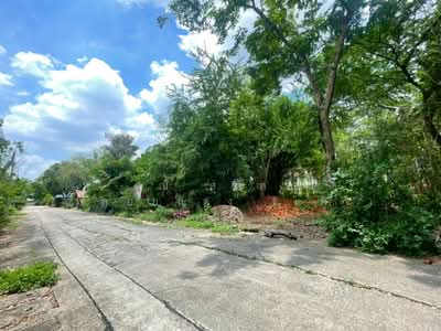 ขาย - ที่ดินเปล่า 228 ตร.ว. หมู่บ้านสินธนา นวมินทร์50, กรุงเทพ
