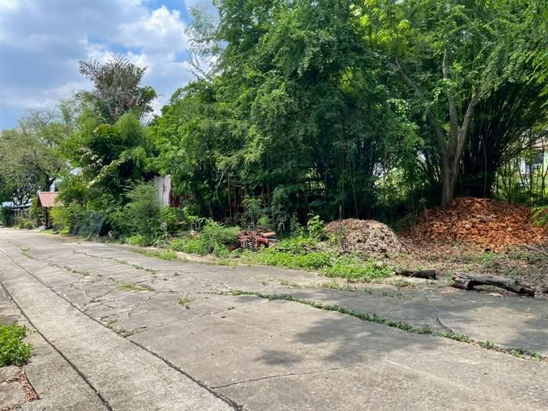 ที่ดินเปล่า 228 ตร.ว. หมู่บ้านสินธนา นวมินทร์50, กรุงเทพ, ถนนนวมินทร์, คลองกุ่ม, บึงกุ่ม, กรุงเทพ, 912 ตร.ม., ที่ดิน ขาย, โดย คุณ สุภัตรา พลอยแดง (แพร), 500352584 - DDproperty.com