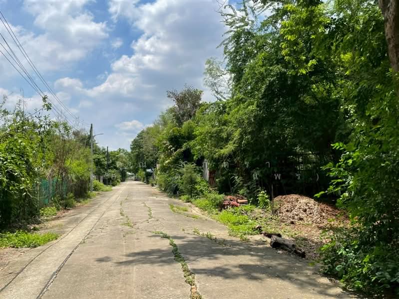 ที่ดินเปล่า 228 ตร.ว. หมู่บ้านสินธนา นวมินทร์50, Bangkok, ถนนนวมินทร์, Khlong Kum, Bueng Kum, Bangkok, , 912 sqm, Land For Sale, by คุณ สุภัตรา พลอยแดง (แพร), 500352584 - DDproperty.com