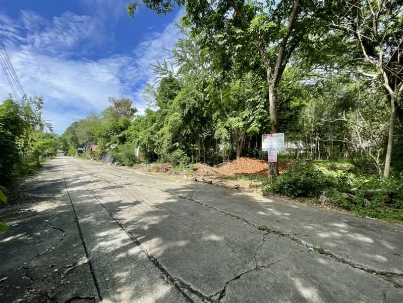 ที่ดินเปล่า 228 ตร.ว. หมู่บ้านสินธนา นวมินทร์50, Bangkok, ถนนนวมินทร์, Khlong Kum, Bueng Kum, Bangkok, , 912 sqm, Land For Sale, by คุณ สุภัตรา พลอยแดง (แพร), 500352584 - DDproperty.com
