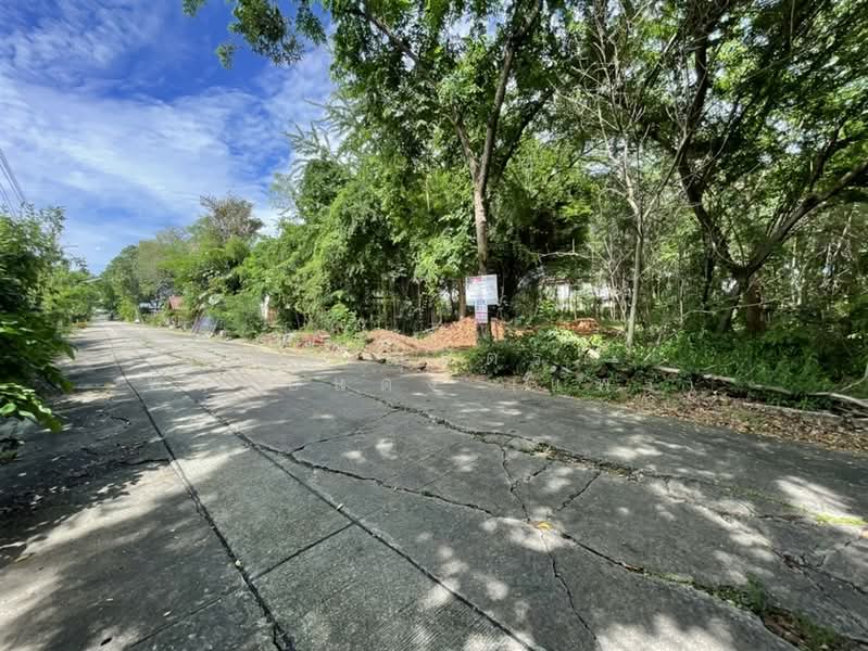 ที่ดินเปล่า 228 ตร.ว. หมู่บ้านสินธนา นวมินทร์50, Bangkok, ถนนนวมินทร์, Khlong Kum, Bueng Kum, Bangkok, , 912 sqm, Land For Sale, by คุณ สุภัตรา พลอยแดง (แพร), 500352584 - DDproperty.com