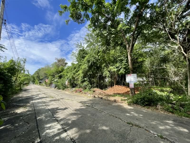 ที่ดินเปล่า 228 ตร.ว. หมู่บ้านสินธนา นวมินทร์50, กรุงเทพ, ถนนนวมินทร์, คลองกุ่ม, บึงกุ่ม, กรุงเทพ, 912 ตร.ม., ที่ดิน ขาย, โดย คุณ สุภัตรา พลอยแดง (แพร), 500352584 - DDproperty.com
