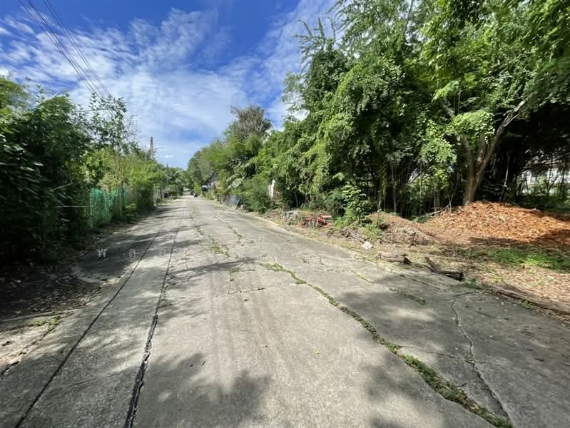 ที่ดินเปล่า 228 ตร.ว. หมู่บ้านสินธนา นวมินทร์50, Bangkok, ถนนนวมินทร์, Khlong Kum, Bueng Kum, Bangkok, , 912 sqm, Land For Sale, by คุณ สุภัตรา พลอยแดง (แพร), 500352584 - DDproperty.com