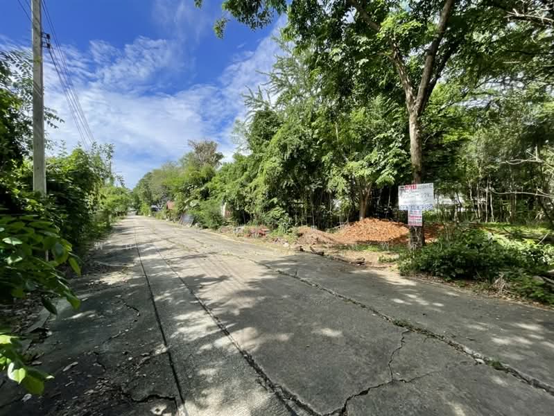 ที่ดินเปล่า 228 ตร.ว. หมู่บ้านสินธนา นวมินทร์50, Bangkok, ถนนนวมินทร์, Khlong Kum, Bueng Kum, Bangkok, , 912 sqm, Land For Sale, by คุณ สุภัตรา พลอยแดง (แพร), 500352584 - DDproperty.com