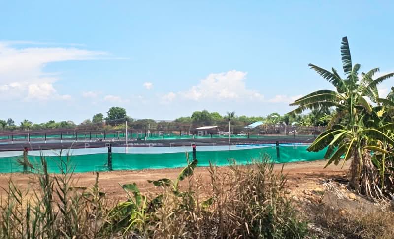ที่ดินบางคล้า ฉะเชิงเทรา, Chachoengsao, Bang Khla, Chachoengsao, , 28,504 sqm, Land For Sale, by The Best Property มน, 500352631 - DDproperty.com