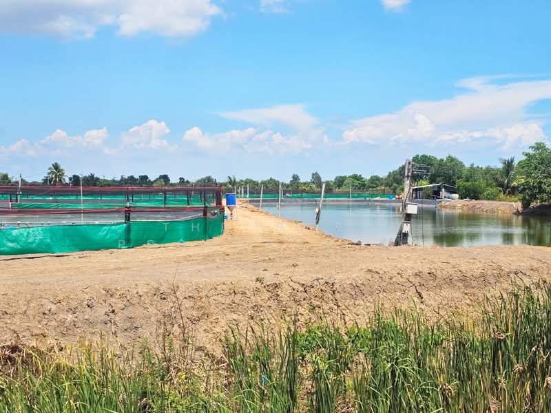 ที่ดินบางคล้า ฉะเชิงเทรา, Chachoengsao, Bang Khla, Chachoengsao, , 28,504 sqm, Land For Sale, by The Best Property มน, 500352631 - DDproperty.com