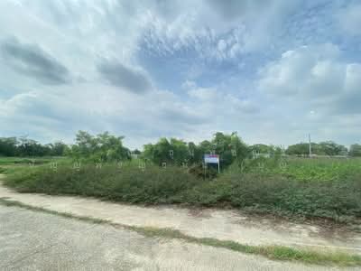 ขาย - ที่ดินเปล่า 381 ตร.ว. ที่ดิน ซอยนิมิตใหม่50 ถนนนิมิตใหม่, กรุงเทพ