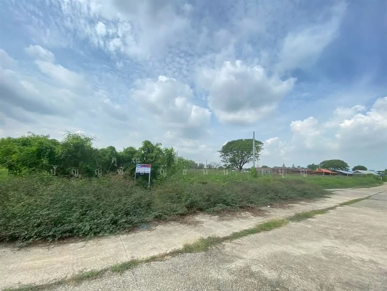 ที่ดินเปล่า 381 ตร.ว. ที่ดิน ซอยนิมิตใหม่50 ถนนนิมิตใหม่, Bangkok, ถนนนิมิตใหม่, Sam Wa Tawan Ok, Khlong Sam Wa, Bangkok, , 1,524 sqm, Land For Sale, by คุณ ธนพัชญ์ ปัญญพัชญ์ธนัน (บุญ), 500352654 - DDproperty.com