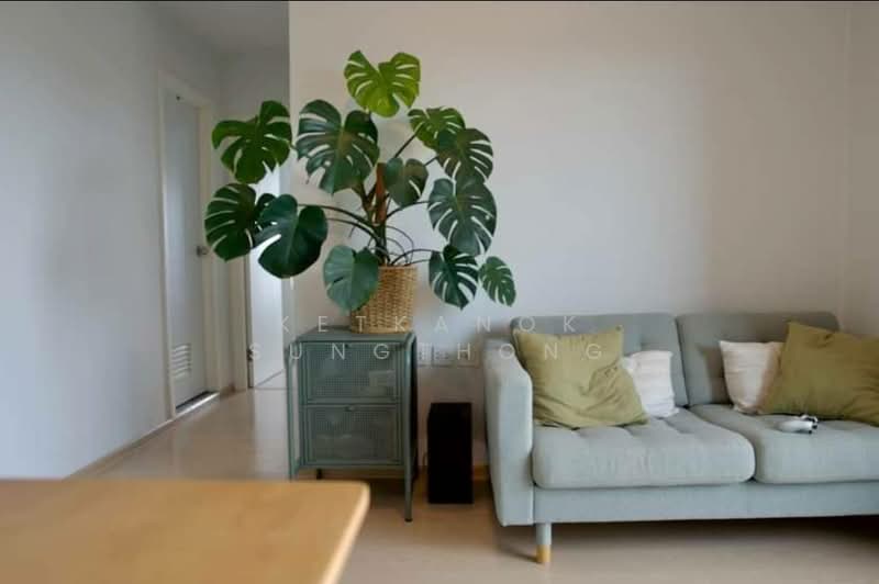 The Tree Sukhumvit 71-Ekamai, Bangkok, 1269 Sukhumvit 71 Road, Suan Luang, Bangkok, 2 Bedrooms, 56 sqm, Condo For Rent, by Ketkanok Sungthong, 500352659 - DDproperty.com