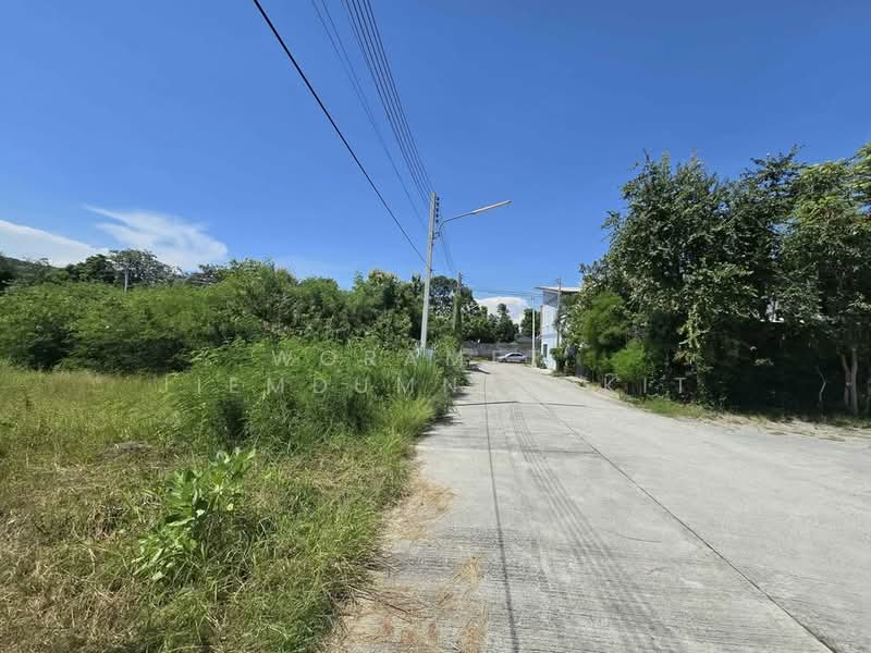 Studio House, Prachuap Khiri Khan, Hua Hin, Hua Hin, Prachuap Khiri Khan, Studio, 47 sqm, Single Detached House For Sale, by Woramet Jiemdumnernkit, 500352660 - DDproperty.com