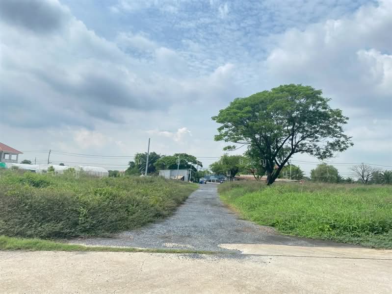 ที่ดินเปล่า 34 ไร่ 193 ตร.ว. ที่ดิน ตรงข้ามหมู่บ้านเค.ซี.การ์เด้นโฮม 1 ซอยนิมิตใหม่50, กรุงเทพ, ถนนนิมิตใหม่, สามวาตะวันออก, คลองสามวา, กรุงเทพ, 55,172 ตร.ม., ที่ดิน ขาย, โดย คุณ ธนพัชญ์ ปัญญพัชญ์ธนัน (บุญ), 500352685 - DDproperty.com