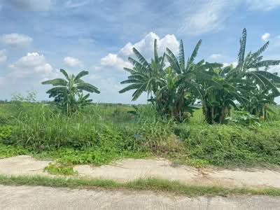 ขาย - ที่ดินเปล่า 34 ไร่ 193 ตร.ว. ที่ดิน ตรงข้ามหมู่บ้านเค.ซี.การ์เด้นโฮม 1 ซอยนิมิตใหม่50, กรุงเทพ