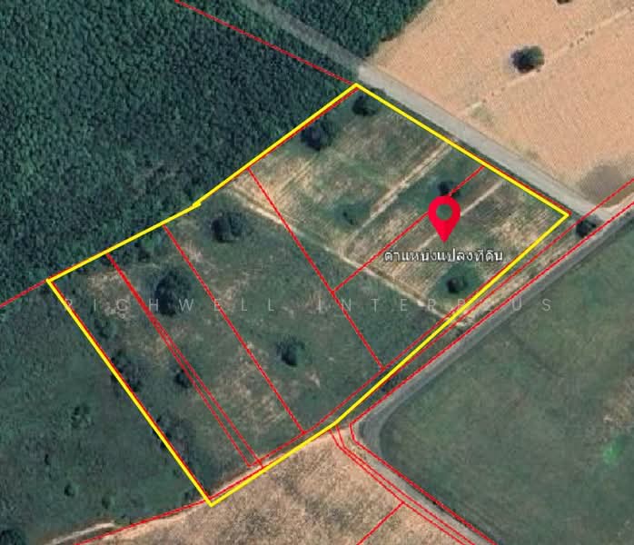 Land for sale in Khao Khansong, Muang Lai, 12 rai, behind Rojana Bowin 2 Industrial Estate, Chon Buri (Pattaya), Khao Khan Song, Si Racha, Chon Buri (Pattaya), , 20,152 sqm, Land For Sale, by RICHWELL INTERPLUS, 500352744 - DDproperty.com