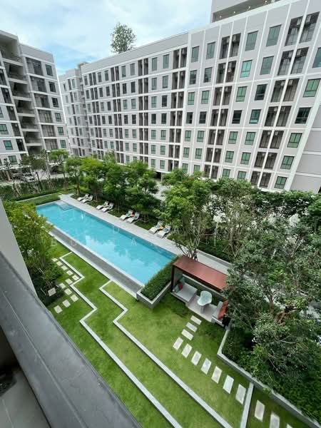 Good Day Sukhumvit 93, Bangkok, Bang Chak, Phra Khanong, Bangkok, 1 Bedroom, 27 sqm, Condo For Rent, by Daran Buntakawinkul, 500352762 - DDproperty.com