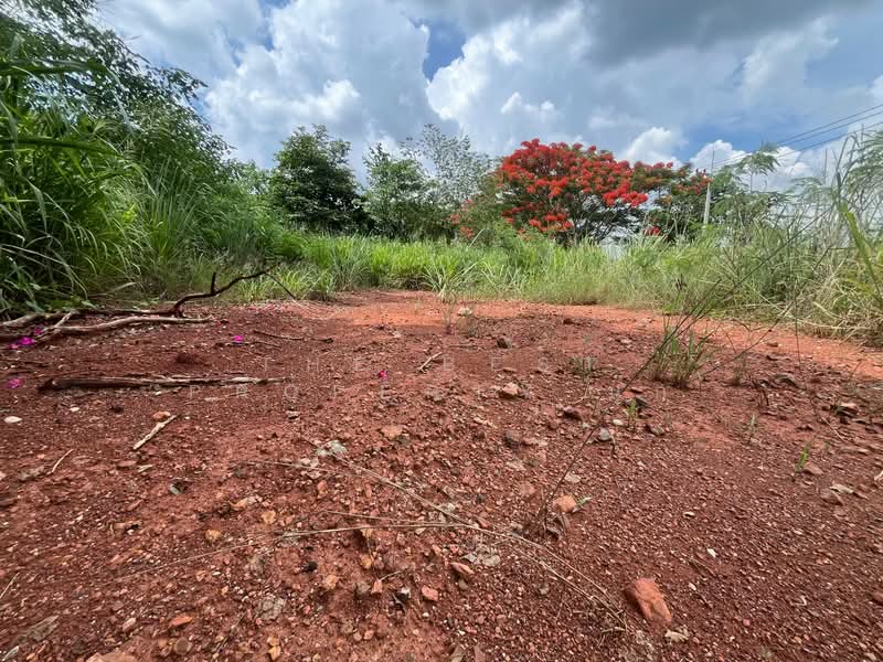 ที่ดินปากช่อง นครราชสีมา, Nakhon Ratchasima, Khanong Phra, Pak Chong, Nakhon Ratchasima, , 2,884 sqm, Land For Sale, by The Best Property นุ๊ก, 500352792 - DDproperty.com