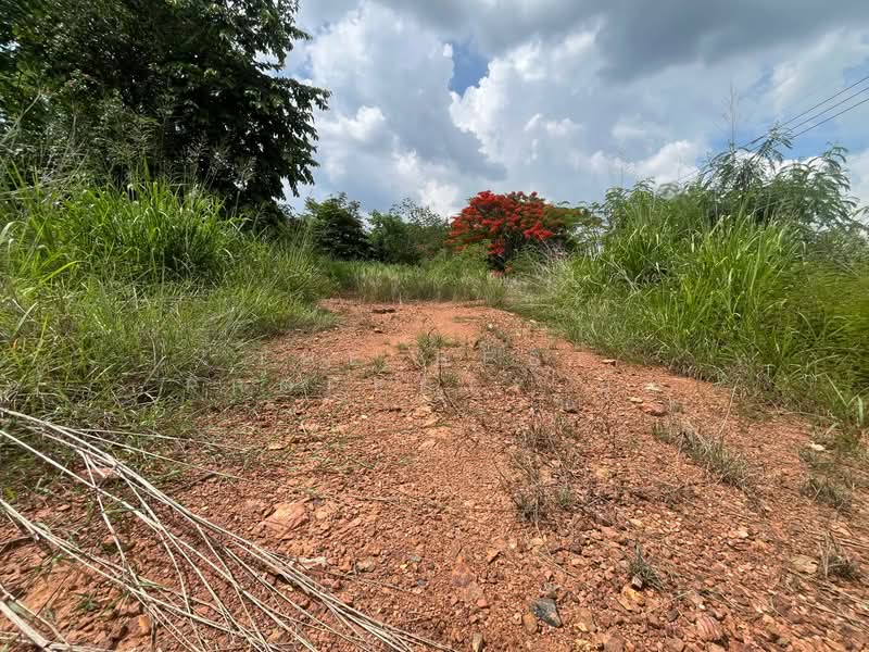 ที่ดินปากช่อง นครราชสีมา, Nakhon Ratchasima, Khanong Phra, Pak Chong, Nakhon Ratchasima, , 2,884 sqm, Land For Sale, by The Best Property นุ๊ก, 500352792 - DDproperty.com