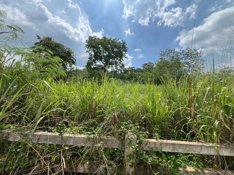 ที่ดินปากช่อง นครราชสีมา, Nakhon Ratchasima, Khanong Phra, Pak Chong, Nakhon Ratchasima, , 2,884 sqm, Land For Sale, by The Best Property นุ๊ก, 500352792 - DDproperty.com