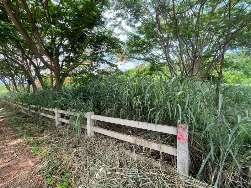 ที่ดินปากช่อง นครราชสีมา, นครราชสีมา, ขนงพระ, ปากช่อง, นครราชสีมา, 2,884 ตร.ม., ที่ดิน ขาย, โดย The Best Property นุ๊ก, 500352792 - DDproperty.com