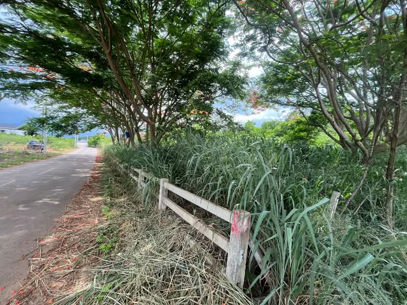 ที่ดินปากช่อง นครราชสีมา, นครราชสีมา, ขนงพระ, ปากช่อง, นครราชสีมา, 2,884 ตร.ม., ที่ดิน ขาย, โดย The Best Property นุ๊ก, 500352792 - DDproperty.com