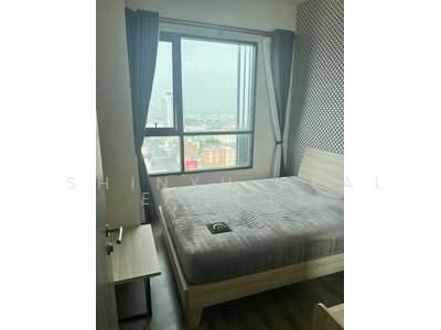 ขาย - KnightsBridge Collage Ramkhamhaeng : ไนท์บริดจ์คอลลาจ รามคำแหง, กรุงเทพ