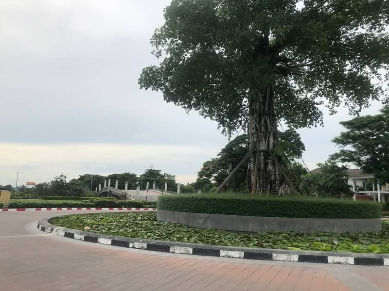 Moobaan Chollada Suvarnabhumi : หมู่บ้านชลลดา สุวรรณภูมิ, สมุทรปราการ, ถนนวัดศรีวารีน้อย, ศีรษะจรเข้น้อย, บางเสาธง, สมุทรปราการ, 160 ตร.ม., บ้านเดี่ยว ให้เช่า, โดย ณปภัช ธวงค์ไพ, 500352876 - DDproperty.com