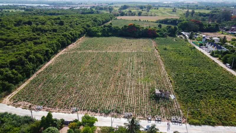 Beautiful land for sale in a prime location in Bowin, Sriracha, Chon Buri (Pattaya), Bo Win, Si Racha, Chon Buri (Pattaya), , 15,964 sqm, Land For Sale, by A House Property Co.,Ltd., 500352901 - DDproperty.com