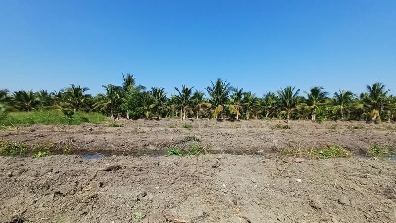 ที่ดินอัมพวา สมุทรสงคราม, Samut Songkhram, Yi San, Amphawa, Samut Songkhram, , 13,840 sqm, Land For Sale, by The Best Property อิ๋ว, 500352931 - DDproperty.com