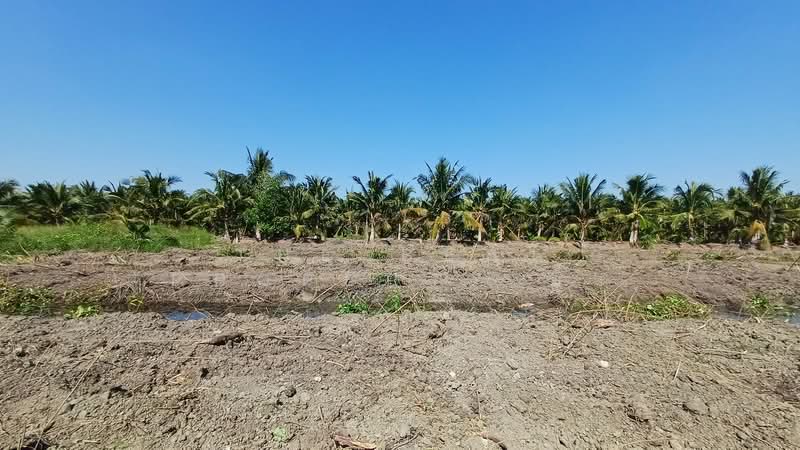 ที่ดินอัมพวา สมุทรสงคราม, Samut Songkhram, Yi San, Amphawa, Samut Songkhram, , 13,840 sqm, Land For Sale, by The Best Property อิ๋ว, 500352931 - DDproperty.com