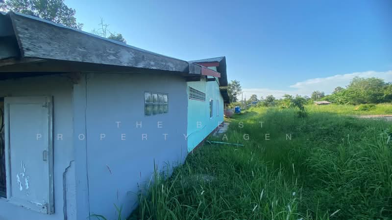 ที่ดินพร้อมสิ่งปลูกสร้างบ้านผือ อุดรธานี, Udon Thani, Hai Sok, Ban Phu, Udon Thani, , 3,036 sqm, Land For Sale, by The Best Property Agent พัสต้า, 500352971 - DDproperty.com