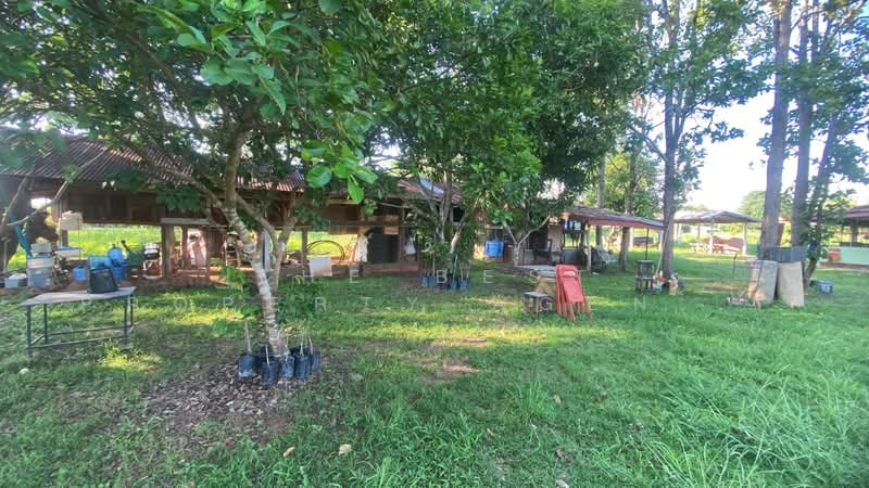 ที่ดินพร้อมสิ่งปลูกสร้างบ้านผือ อุดรธานี, Udon Thani, Hai Sok, Ban Phu, Udon Thani, , 3,036 sqm, Land For Sale, by The Best Property Agent พัสต้า, 500352971 - DDproperty.com