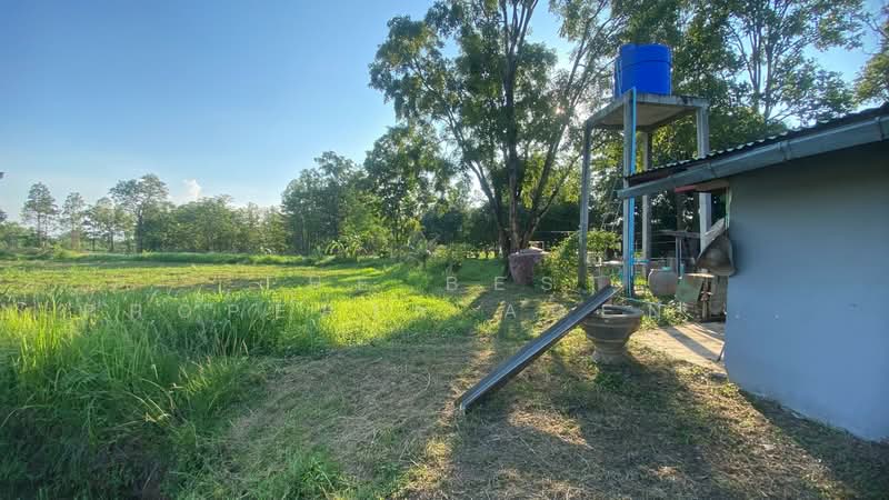 ที่ดินพร้อมสิ่งปลูกสร้างบ้านผือ อุดรธานี, Udon Thani, Hai Sok, Ban Phu, Udon Thani, , 3,036 sqm, Land For Sale, by The Best Property Agent พัสต้า, 500352971 - DDproperty.com