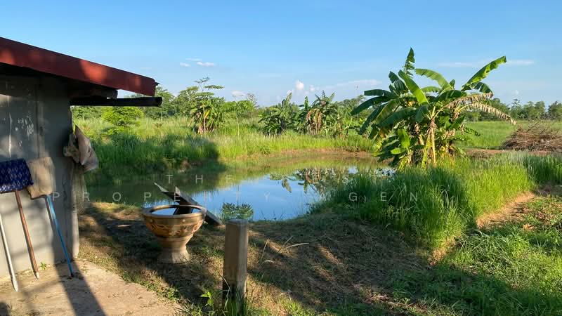 ที่ดินพร้อมสิ่งปลูกสร้างบ้านผือ อุดรธานี, Udon Thani, Hai Sok, Ban Phu, Udon Thani, , 3,036 sqm, Land For Sale, by The Best Property Agent พัสต้า, 500352971 - DDproperty.com