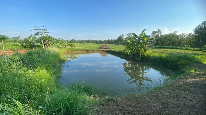 ที่ดินพร้อมสิ่งปลูกสร้างบ้านผือ อุดรธานี, Udon Thani, Hai Sok, Ban Phu, Udon Thani, , 3,036 sqm, Land For Sale, by The Best Property Agent พัสต้า, 500352971 - DDproperty.com