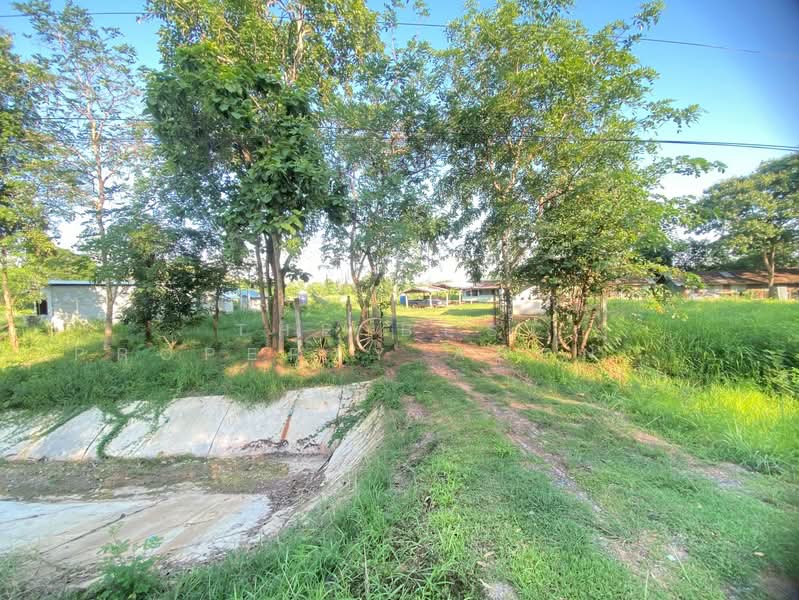 ที่ดินพร้อมสิ่งปลูกสร้างบ้านผือ อุดรธานี, Udon Thani, Hai Sok, Ban Phu, Udon Thani, , 3,036 sqm, Land For Sale, by The Best Property Agent พัสต้า, 500352971 - DDproperty.com