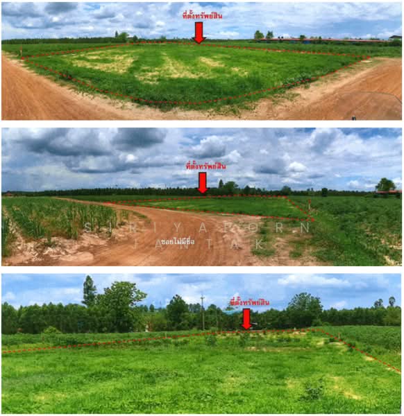 ที่ดินGateway, Chachoengsao, Hua Samrong, Plaeng Yao, Chachoengsao, , 5,592 sqm, Land For Sale, by Siriyaporn Jantak, 500352973 - DDproperty.com