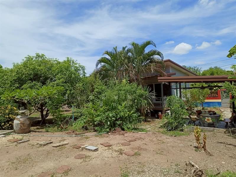 บ้านเดี่ยว 1ชั้น + ที่ดิน 466 ตร.ว. ใกล้โรงพยาบาลส่งเสริมสุขภาพดอนรวก, Nakhon Pathom, ถนน4002, Don Ruak, Don Tum, Nakhon Pathom, 4 Bedrooms, 300 sqm, Single Detached House For Sale, by คุณ พันธ์ทิพย์ จุสมใจ (ทิพย์), 500353036 - DDproperty.com