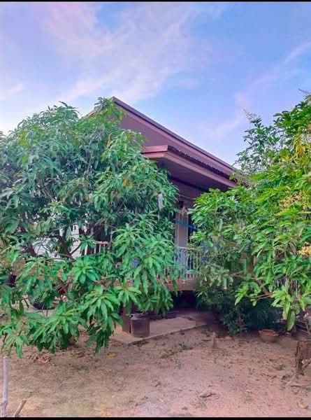บ้านเดี่ยว 1ชั้น + ที่ดิน 466 ตร.ว. ใกล้โรงพยาบาลส่งเสริมสุขภาพดอนรวก, นครปฐม, ถนน4002, ดอนรวก, ดอนตูม, นครปฐม, 300 ตร.ม., บ้านเดี่ยว ขาย, โดย คุณ พันธ์ทิพย์ จุสมใจ (ทิพย์), 500353036 - DDproperty.com