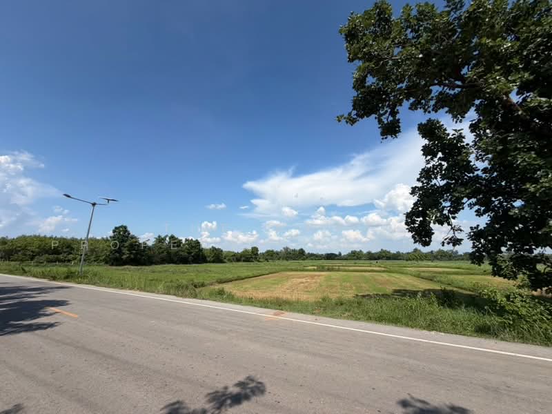 ที่ดินศรีบุญเรือง หนองบัวลำภู, Nong Bua Lam Phu, Nong Kae, Si Bun Ruang, Nong Bua Lam Phu, , 16,000 sqm, Land For Sale, by The Best Property Agent กุ้งแก้ว, 500353069 - DDproperty.com