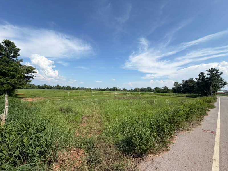 ที่ดินศรีบุญเรือง หนองบัวลำภู, Nong Bua Lam Phu, Nong Kae, Si Bun Ruang, Nong Bua Lam Phu, , 16,000 sqm, Land For Sale, by The Best Property Agent กุ้งแก้ว, 500353069 - DDproperty.com