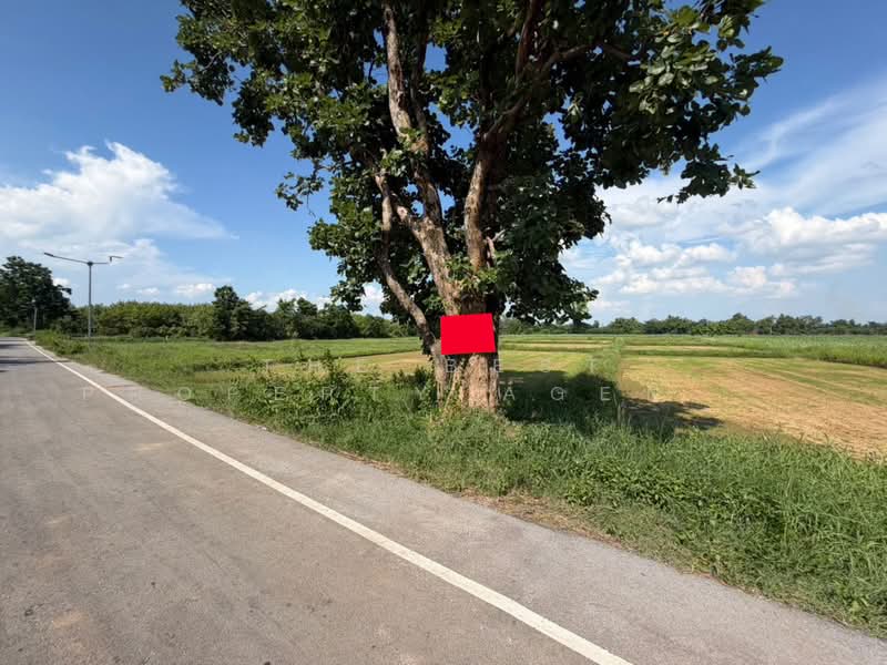 ที่ดินศรีบุญเรือง หนองบัวลำภู, Nong Bua Lam Phu, Nong Kae, Si Bun Ruang, Nong Bua Lam Phu, , 16,000 sqm, Land For Sale, by The Best Property Agent กุ้งแก้ว, 500353069 - DDproperty.com