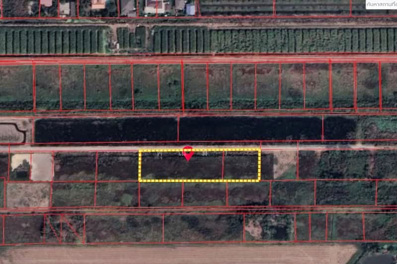 ซอยคลองสี่ตะวันตก, ปทุมธานี, คลองสี่, คลองหลวง, ปทุมธานี, 4,304 ตร.ม., ที่ดิน ขาย, โดย คุณมิว, 500353141 - DDproperty.com