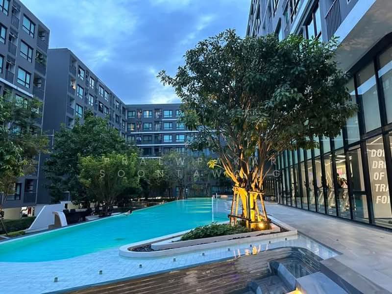 The Origin Sukhumvit 105, Bangkok, 818 Sukhumvit 105 Alley, Bang Na, Bangkok, 1 Bedroom, 27 sqm, Condo For Rent, by Praewpakar Soontawong, 500353156 - DDproperty.com