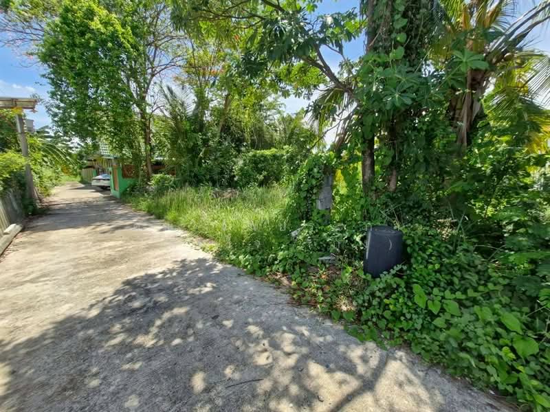 บ้านเดี่ยว+ที่ดิน 262 ตร.ว. ด้านหลังโลตัส พลัสมอลล์ ซอยวัดบางค้อ, นนทบุรี, ถนนกาญจนาภิเษก, บางคูเวียง, บางกรวย, นนทบุรี, 500 ตร.ม., บ้านเดี่ยว ขาย, โดย คุณ วันประภา จุสมใจ (กุ้ง), 500353204 - DDproperty.com