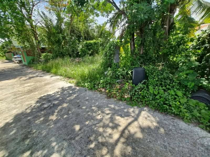 บ้านเดี่ยว+ที่ดิน 262 ตร.ว. ด้านหลังโลตัส พลัสมอลล์ ซอยวัดบางค้อ, Nonthaburi, ถนนกาญจนาภิเษก, Bang Khu Wiang, Bang Kruai, Nonthaburi, 4 Bedrooms, 500 sqm, Single Detached House For Sale, by คุณ วันประภา จุสมใจ (กุ้ง), 500353204 - DDproperty.com