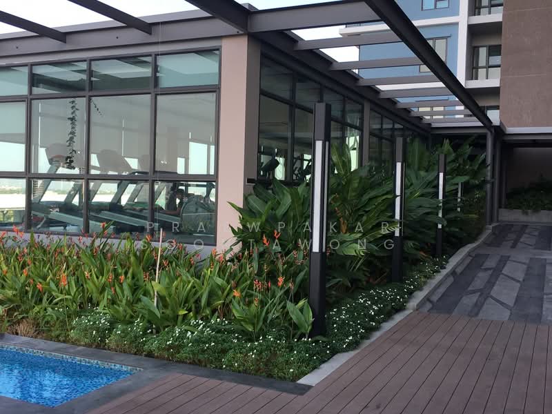 Rich Park @ Triple Station, Bangkok, 591 Srinakarin Road, Suan Luang, Bangkok, 1 Bedroom, 28 sqm, Condo For Rent, by Praewpakar Soontawong, 500353210 - DDproperty.com