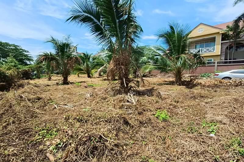 ที่ดิน (แปลงหลังริม) เนื้อที่ 156 ตร.ว. หมู่บ้านเฉลิมพระเกียรติ (ตรงข้ามซอยเฉลิมพระเกียรติซอย 4), Nonthaburi, Bang Sri Muang, Muang Nonthaburi, Nonthaburi, , 624 sqm, Land For Sale, by ชนะชาติ นนท์ตา, 500353222 - DDproperty.com