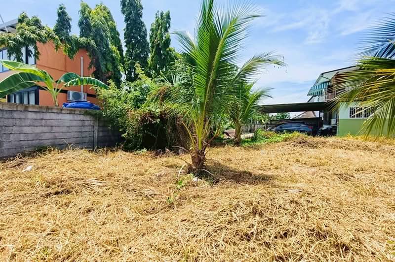 ที่ดิน (แปลงหลังริม) เนื้อที่ 156 ตร.ว. หมู่บ้านเฉลิมพระเกียรติ (ตรงข้ามซอยเฉลิมพระเกียรติซอย 4), นนทบุรี, บางศรีเมือง, เมืองนนทบุรี, นนทบุรี, 624 ตร.ม., ที่ดิน ขาย, โดย ชนะชาติ นนท์ตา, 500353222 - DDproperty.com