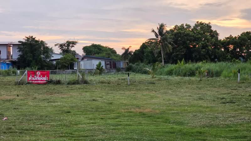 ที่ดินศรีราชา ชลบุรี, Chon Buri (Pattaya), Nong - Kham, Si Racha, Chon Buri (Pattaya), , 6,284 sqm, Land For Sale, by The Best Property มน, 500353223 - DDproperty.com