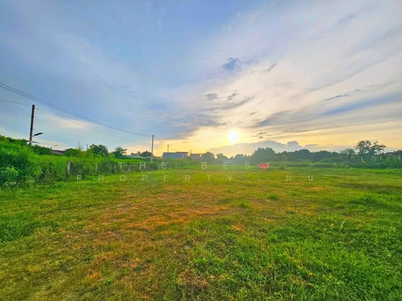 ที่ดินศรีราชา ชลบุรี, ชลบุรี, หนองขาม, ศรีราชา, ชลบุรี, 6,284 ตร.ม., Land ขาย, โดย The Best Property มน, 500353223 - DDproperty.com